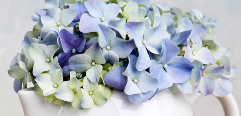 Kontakt och öppettider